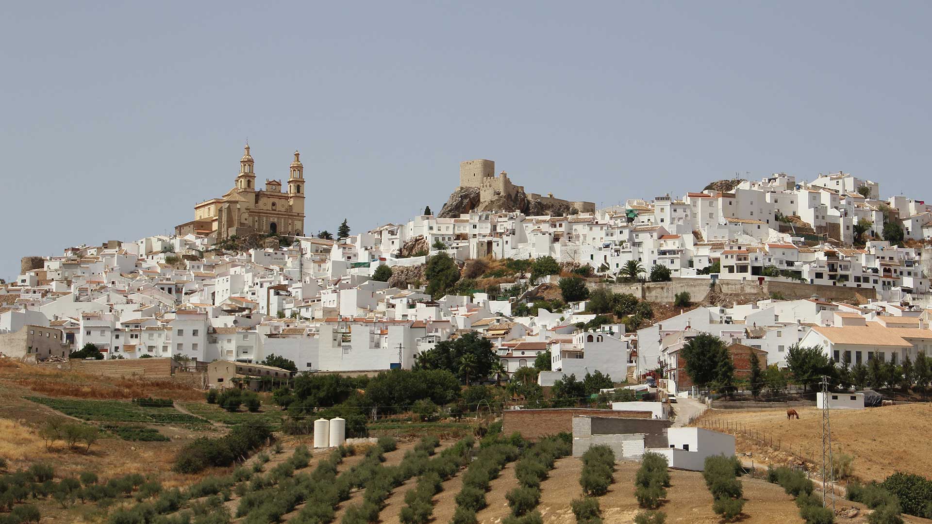 Weiße Dörfer an einem Hügel gelegt, in Andalusien, Spanien.