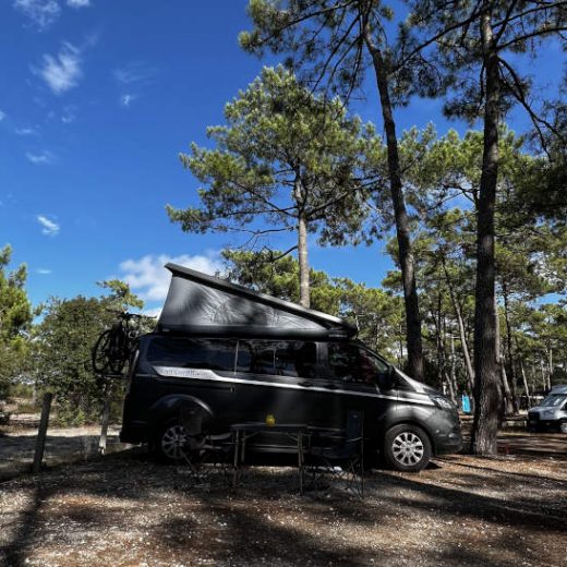 Camper Nugget Plus am Campingplatz in einem Pinienwald am Atlantik.